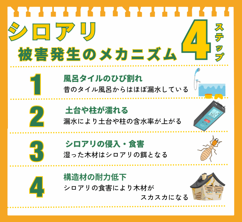 シロアリ被害発生のメカニズム4ステップの図解