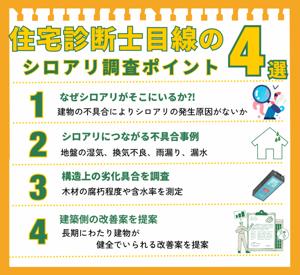 住宅診断士目線のシロアリ調査ポイント4選の図解