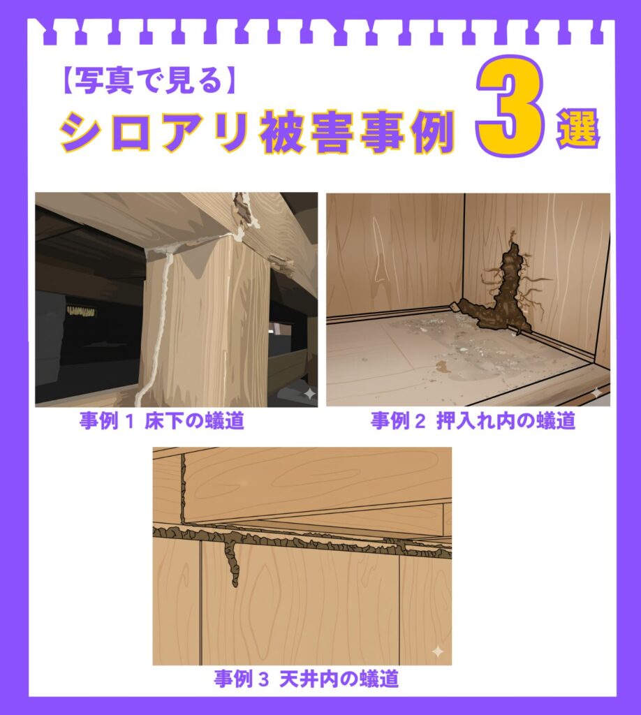 構造力学的にシロアリに負ける家の6つの特徴。1.雨漏り・漏水している、2.地面の湿度が多い、3.床下換気が少ない、4.家の周りの雑草、5.家の周りに物を置いている、6.家に関心がない。家のイラストと共に、それぞれの特徴が視覚的に表現されている。