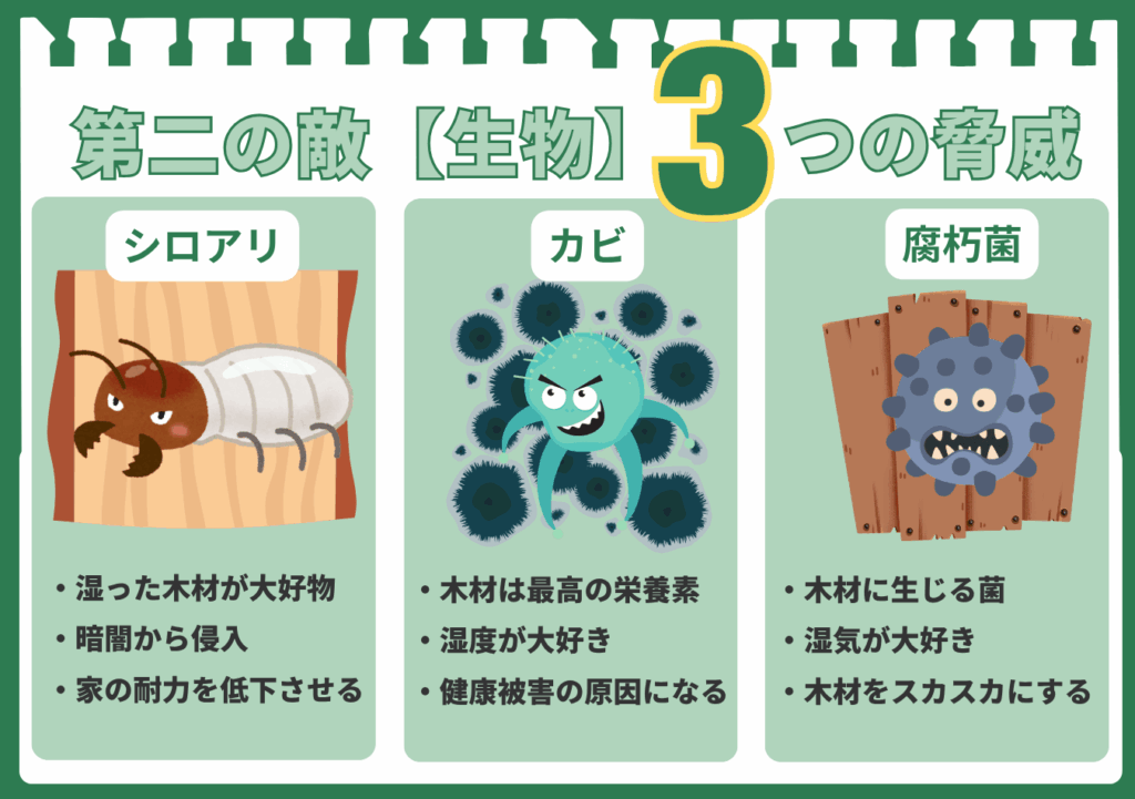 第二の敵である生物がもたらす3つの脅威を解説した図解。シロアリ、カビ、腐朽菌の3つに分かれており、それぞれのイラストと特徴が記載されている。シロアリは家の耐力を低下させ、カビは健康被害の原因となり、腐朽菌は木材をスカスカにすることが示されている。