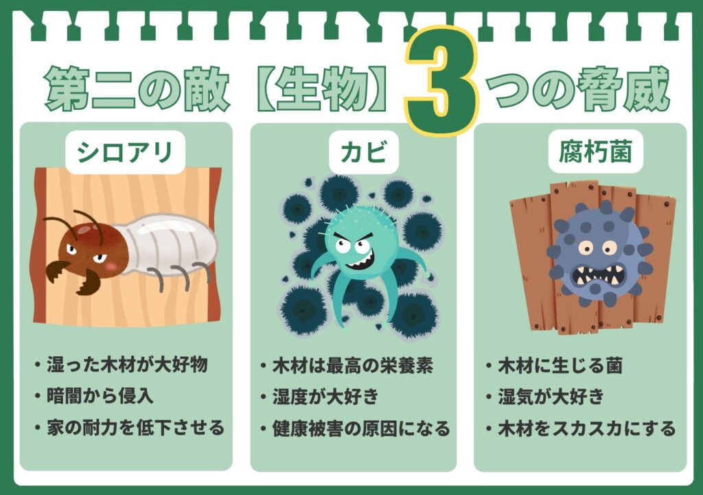 「第二の敵【生物】3つの脅威」を解説した図解。1つ目は湿った木材を好み家の耐力を低下させる「シロアリ」。2つ目は湿度を好み健康被害の原因となる「カビ」。3つ目は湿気を好み木材をスカスカにする「腐朽菌」。これら3種類の生物が家に与える被害をまとめている。