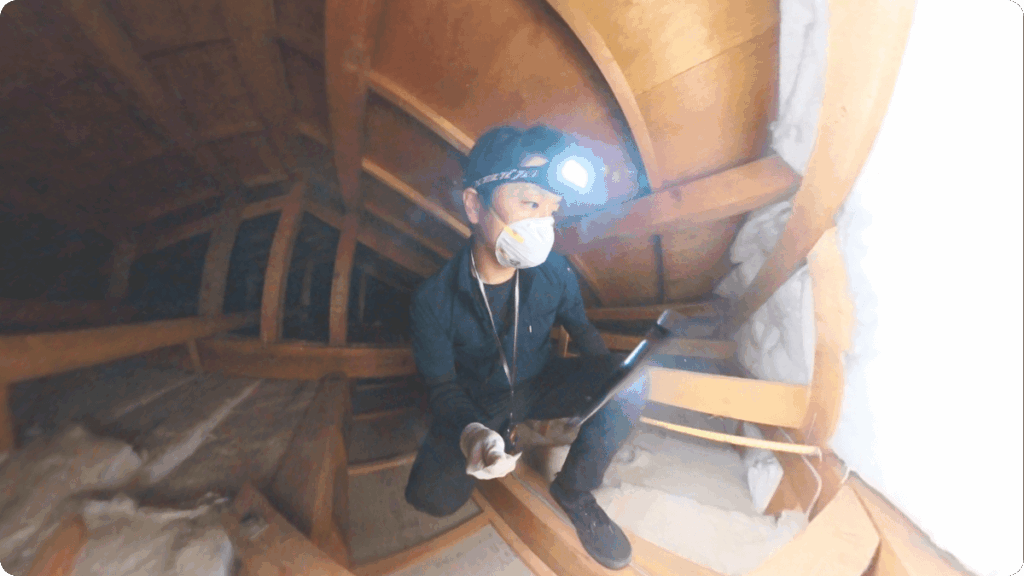 小屋裏での調査状況